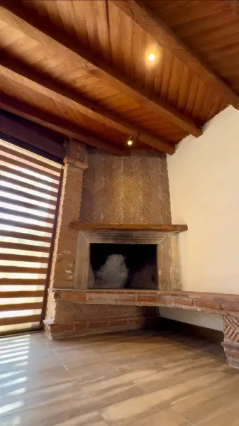 Casa en venta en Morelia - foto 3