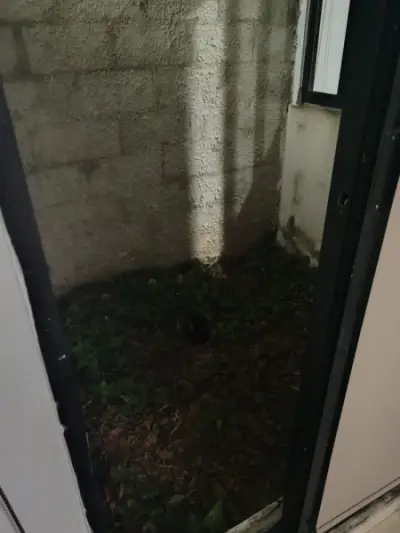 Casa en venta en Mérida - foto 4