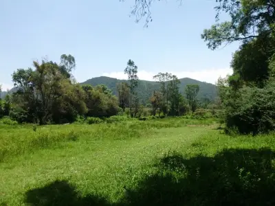 Terreno en venta en Valle de Bravo - foto 2