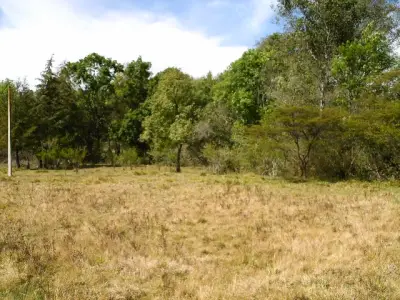 Terreno en venta en Valle de Bravo - foto 5