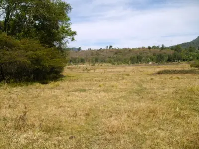Terreno en venta en Valle de Bravo - foto 3
