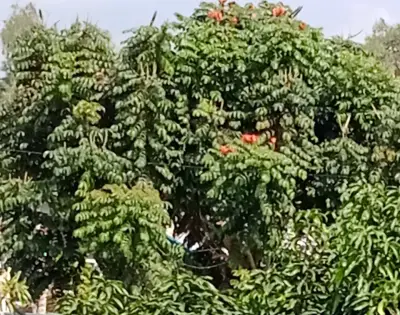 Bonito terreno  155 m2 cartuchos Cuernavaca, morelos.