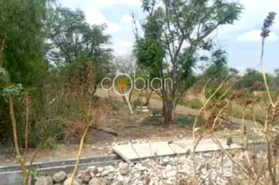 Terreno en venta en Atlixco - foto 2