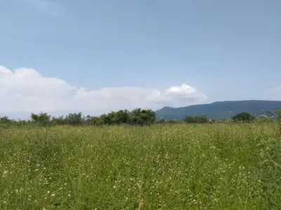 Terreno en venta en Xochitepec - foto 5