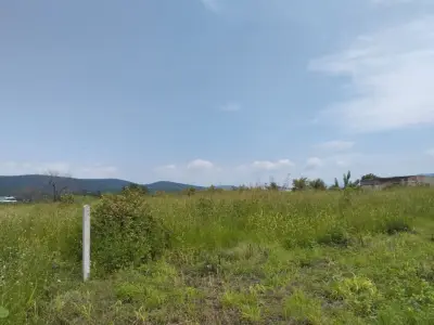 Terreno en venta en Xochitepec - foto 3