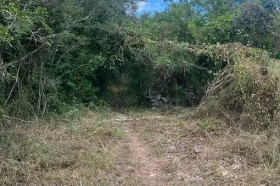 Terreno en venta en Tixkokob - foto 2