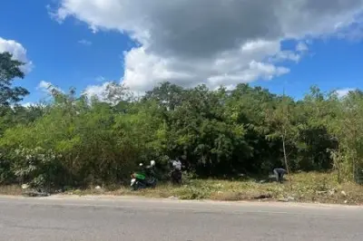 Terreno en venta en Tixkokob - foto 5