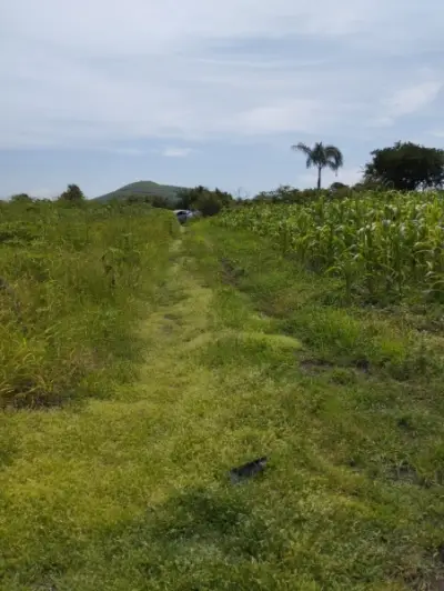 Terreno en venta en Xochitepec - foto 2