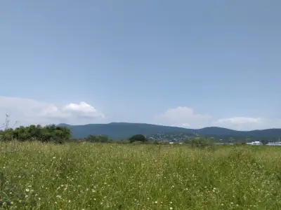Terreno en venta en Xochitepec - foto 4