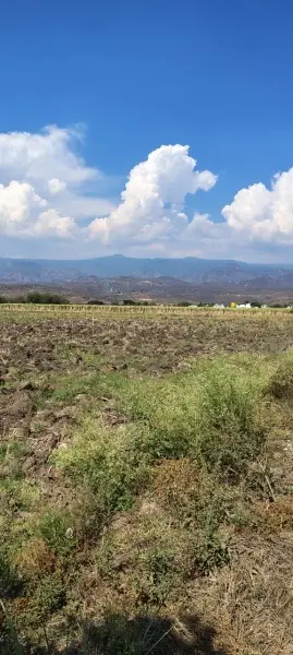 Terreno en venta en Yautepec - foto 5