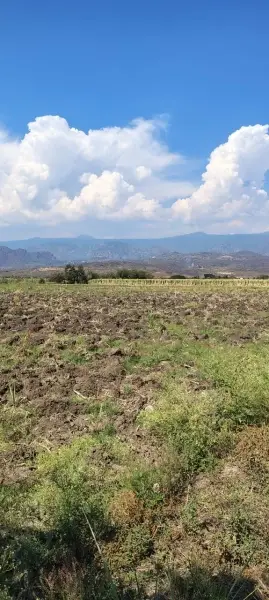 Terreno en venta en Yautepec - foto 3