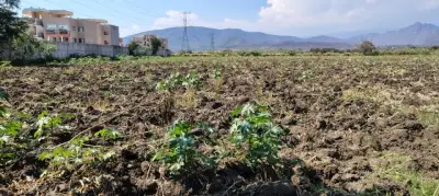 Terreno en venta en Yautepec - foto 2