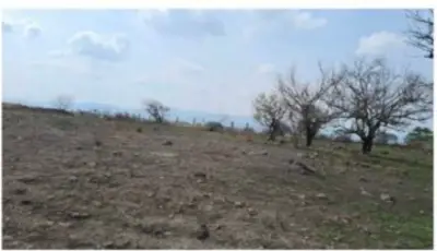 Terreno en venta en Cuernavaca - foto 5