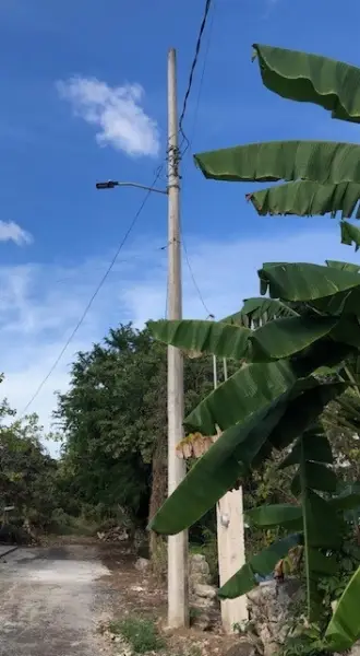 Terreno en venta en Mérida - foto 3