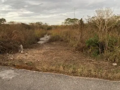 Terreno en venta en Mérida - foto 2