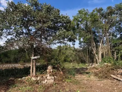 Terreno en venta en Mérida - foto 5