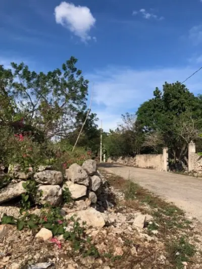 Terreno en venta en Mérida - foto 2