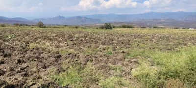 Terreno en venta en Yautepec - foto 4