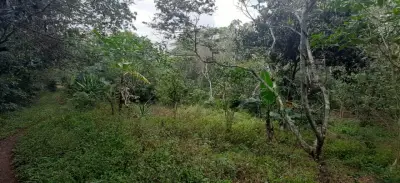 Terreno en venta en Emiliano Zapata - foto 3