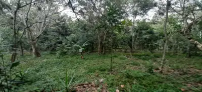 Terreno en venta en Emiliano Zapata - foto 2
