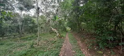 Terreno en venta en Emiliano Zapata - foto 4