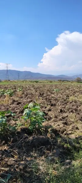 Terreno en venta en Yautepec - foto 5