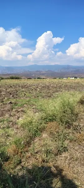Terreno en venta en Yautepec - foto 3