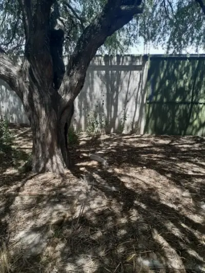 Terreno en venta en Tecamachalco - foto 3