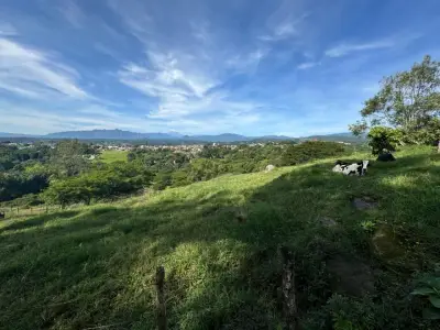 Terreno en venta en Xico - foto 4
