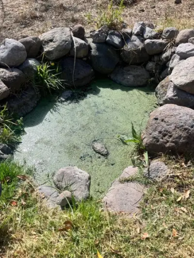 Terreno en venta en Huimilpan - foto 5