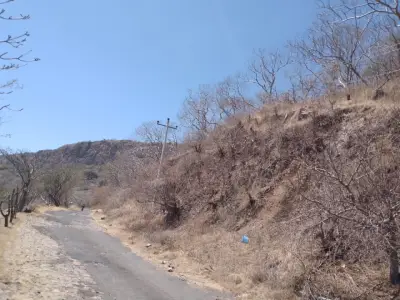 Terreno en venta en Zapopan - foto 4