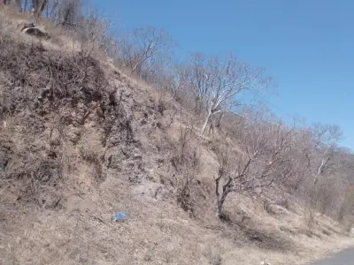 Terreno en venta en Zapopan - foto 2