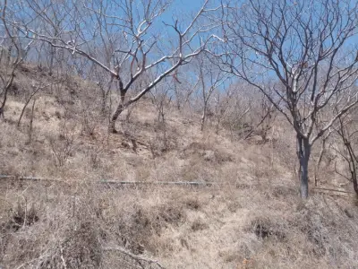 Terreno en venta en Zapopan - foto 5