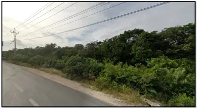 Terreno en venta en Tulum - foto 3