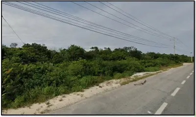 Terreno en venta en Tulum - foto 4