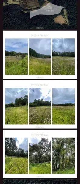 Lotes disponibles AMENTO Valle de Bravo