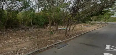 Terreno en venta en Mérida - foto 5