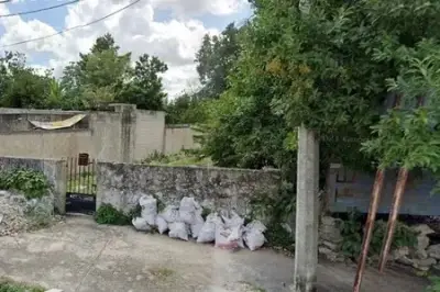 Terreno en venta en Mérida - foto 3