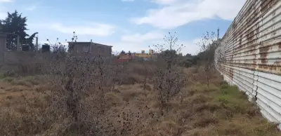 Terreno en venta en Chalco - foto 4