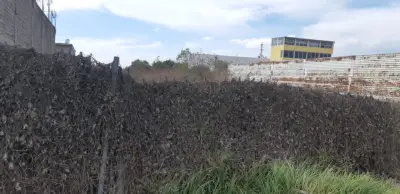 Terreno en venta en Chalco - foto 5