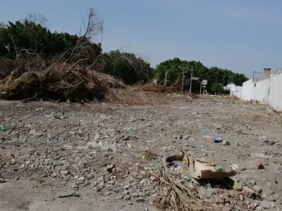 Terreno en renta en El Mante - foto 5