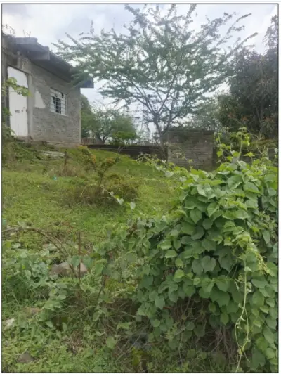 Venta de terreno campestre en esquina con acceso vehícular
