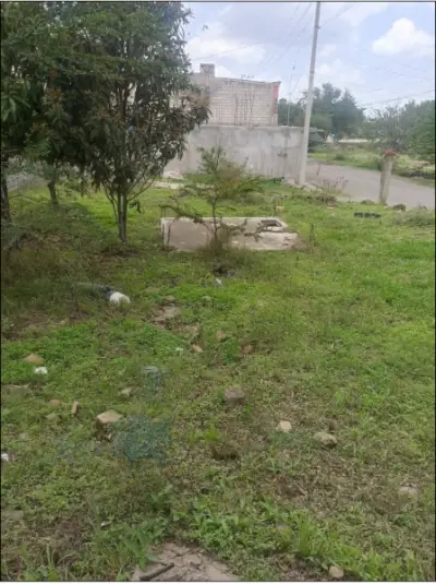 Terreno en venta en Atlatlahuacan - foto 3