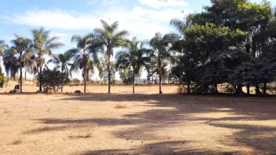 Terreno en venta en Tlaquepaque - foto 5