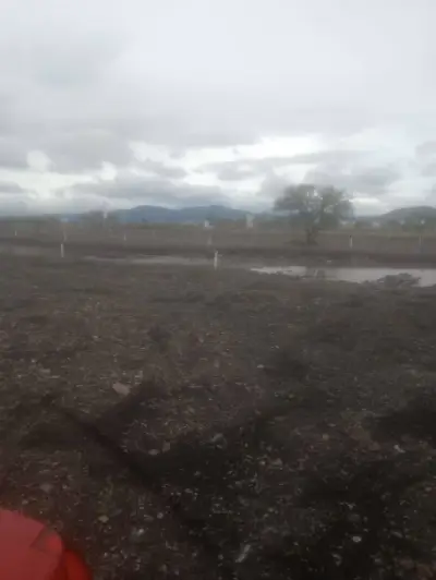 Terreno en venta en Querétaro - foto 4