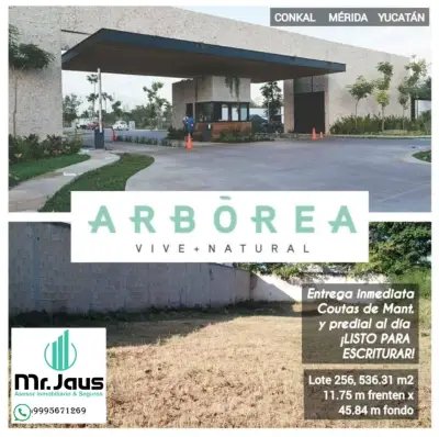 VENTA DE TERRENO EN ARBOREA CONKAL YUCATAN