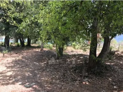 Terreno en venta en Cabo Corrientes - foto 5