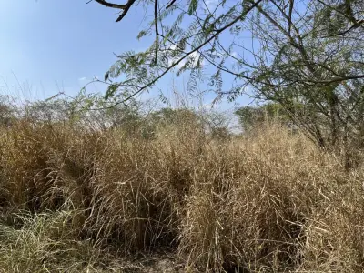 Terreno en venta en Emiliano Zapata - foto 5
