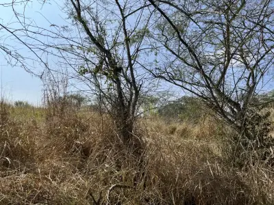 Terreno en venta en Emiliano Zapata - foto 4