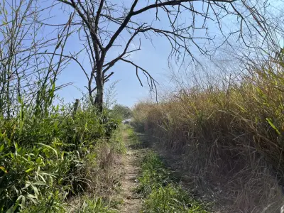 Terreno en venta en Emiliano Zapata - foto 3